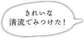 きれいな清流でみつけた！