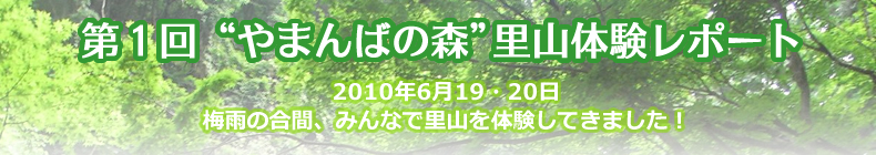 第1回 やまんばの森　里山体験レポート　2010年6月19日・20日　梅雨の合間、みんなで里山を体験してきました！