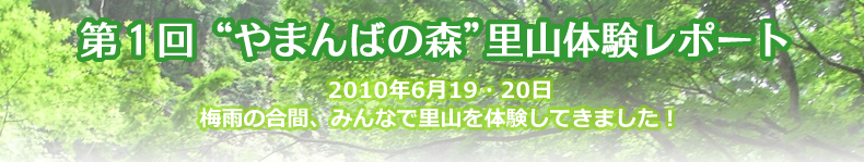 第1回 やまんばの森　里山体験レポート　2010年6月19日・20日　梅雨の合間、みんなで里山を体験してきました！